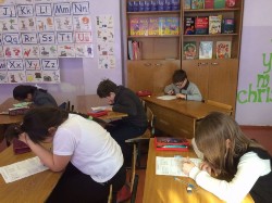 �����������